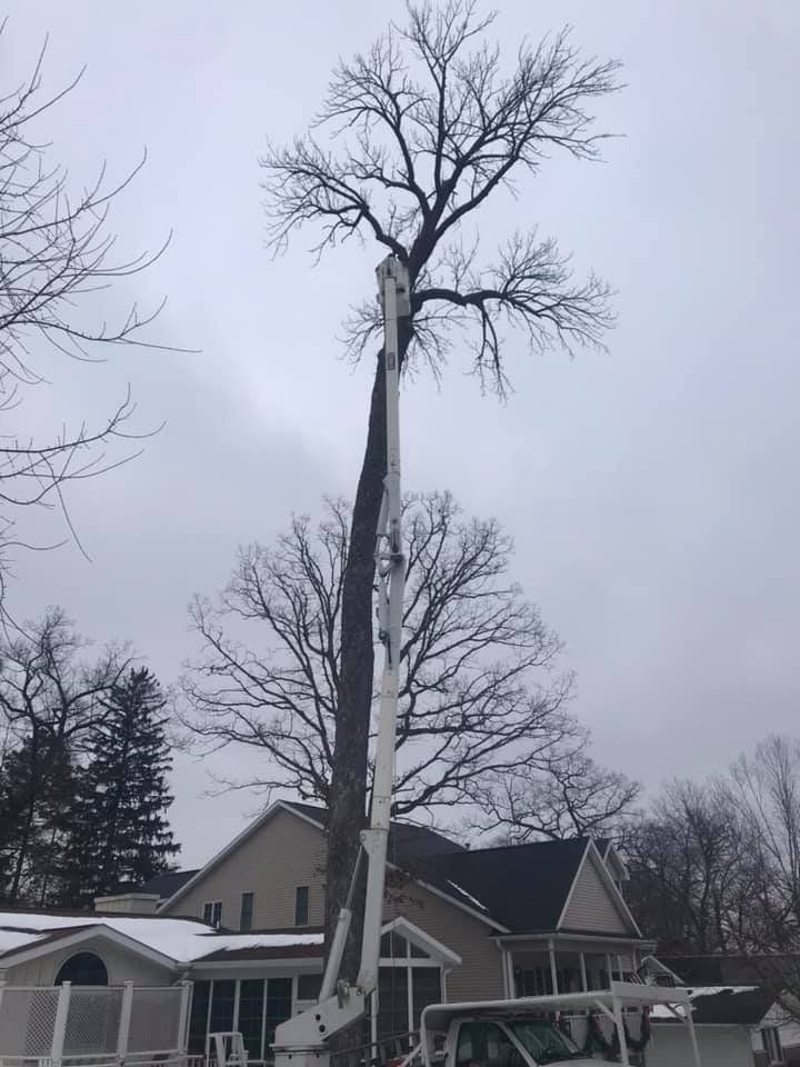 Tree Care Services — Lake Geneva, WI — Eagle Eye Tree Service