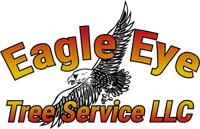 Eagle Eye Tree Service