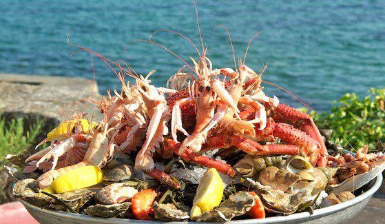 #plateauroyal e pesce crudo milano