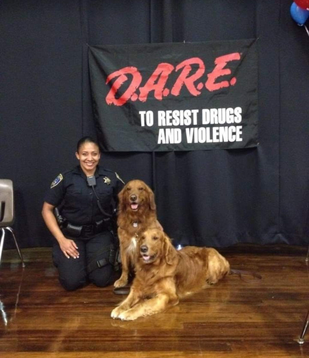 drug detection golden retriever