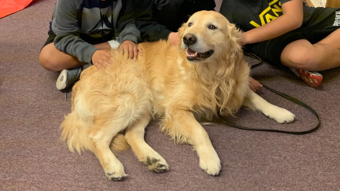 A group of children are sitting on the floor petting a dog.