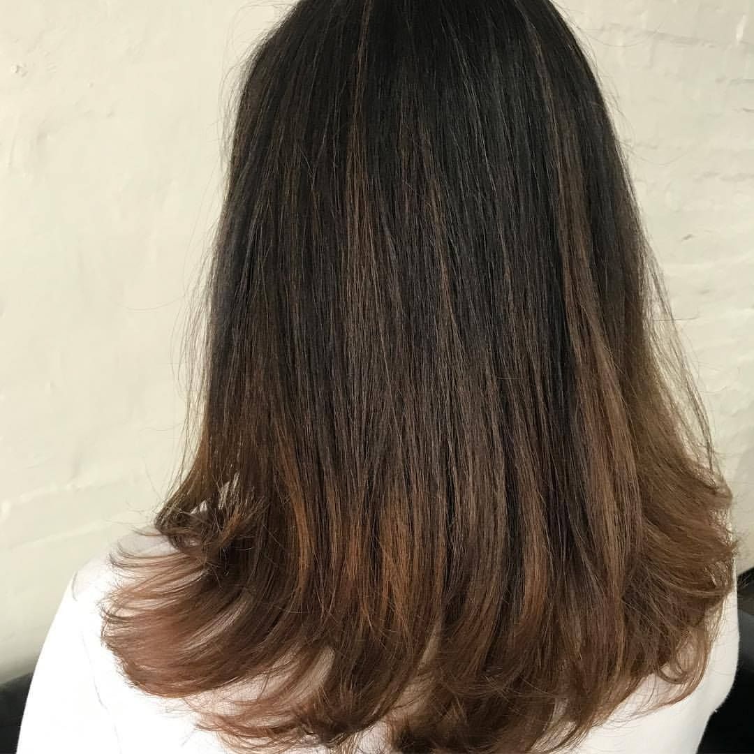 Woman With Brown Hair, Dark Roots, Light Brown Ends, Shoulder Length — Lavish Hair in Shepparton, VIC