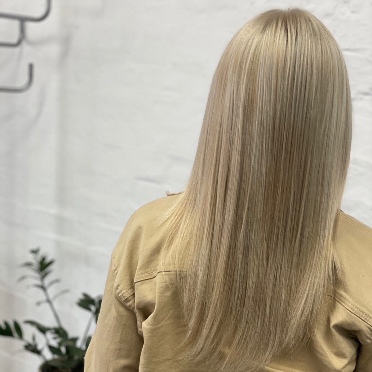 Blonde Hair Cascades Down a Woman's Back, Against a White Brick Wall — Lavish Hair in Shepparton, VIC