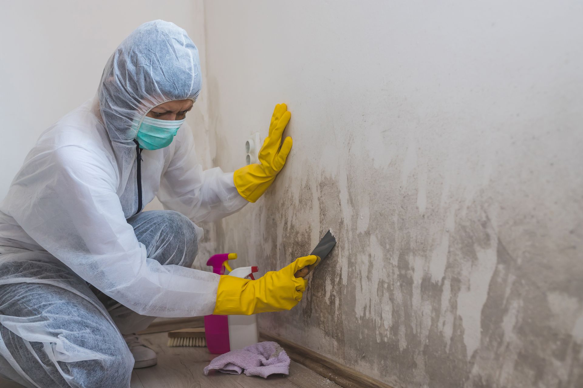 Person in protective suit cleaning mold from a wall; gloves, mask, and spray bottle visible.