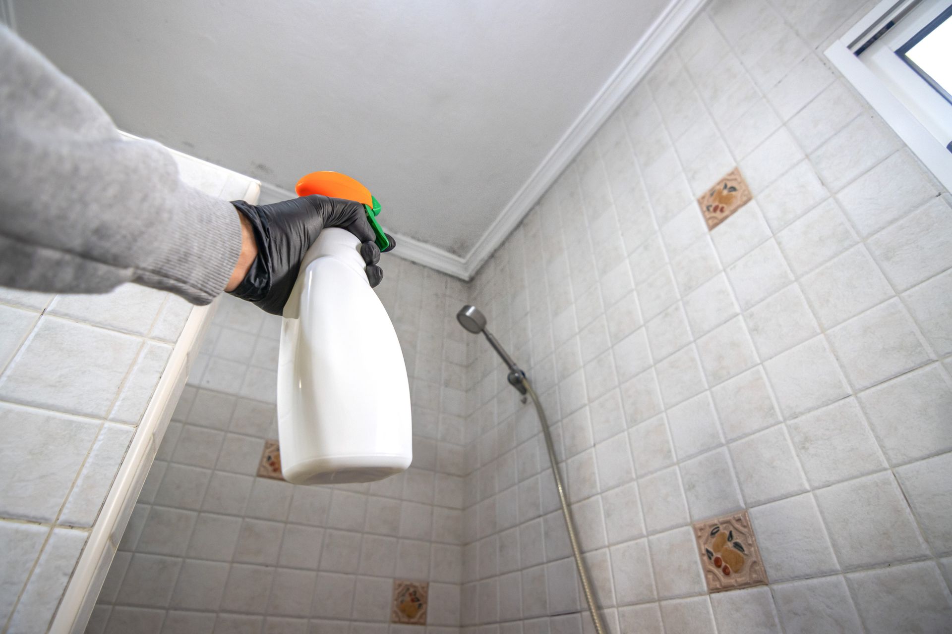 Hand wearing a black glove sprays cleaning solution on bathroom tiles to remove mold. Hand wearing a black glove sprays cleaning solution on bathroom tiles to remove mold.