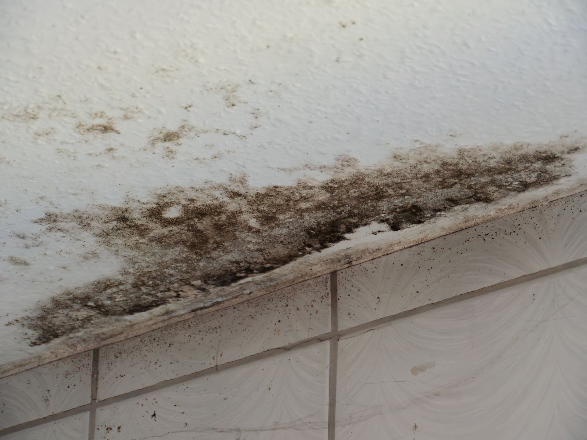 Dark mold patches covering the edge of a ceiling.