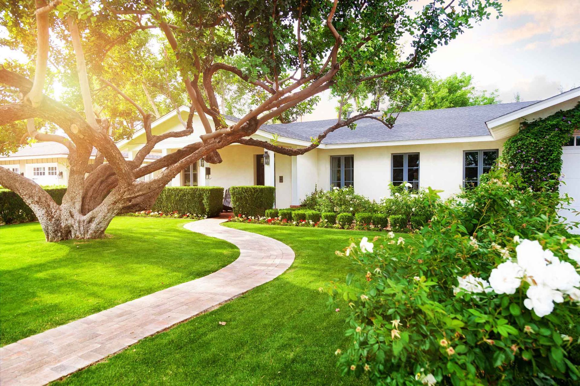 Home with Green Grass Yard — Santa Clarita, CA — TSL Tree Service & Landscaping