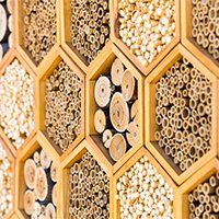 Bee Hotel