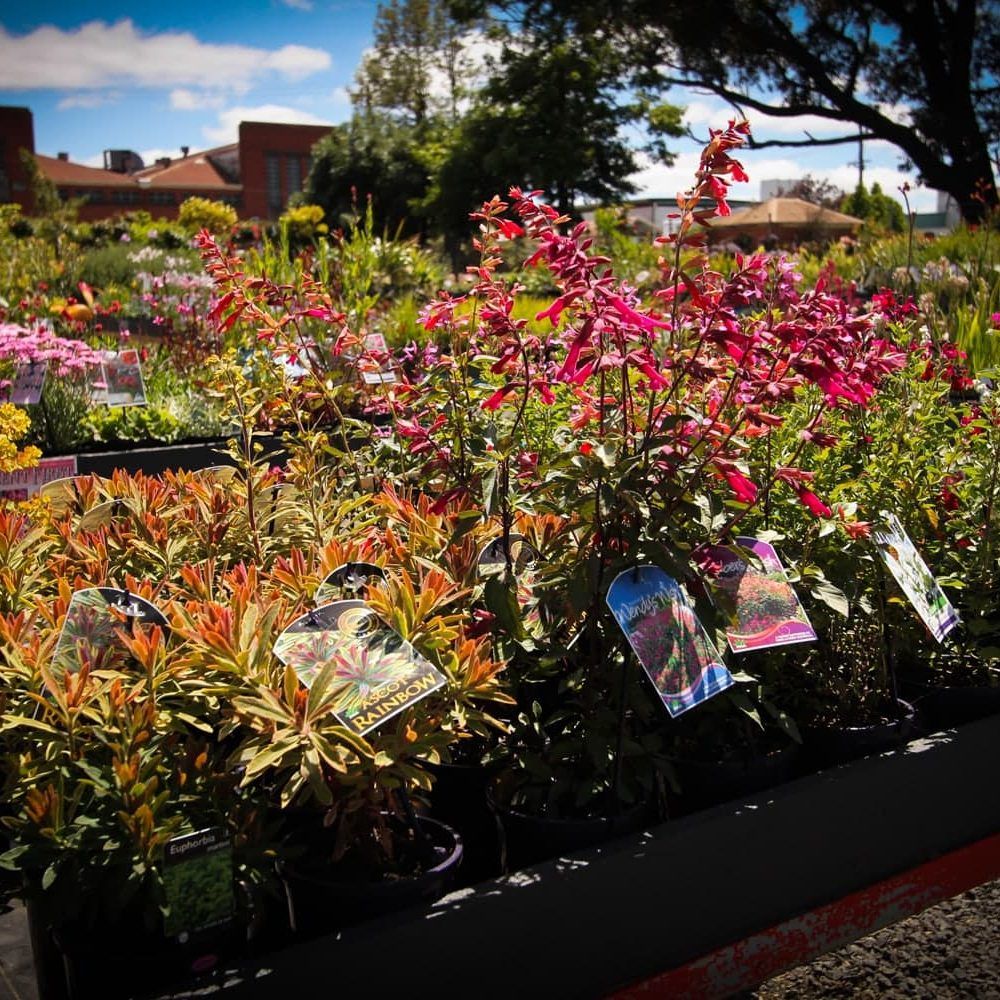Garden Nursery