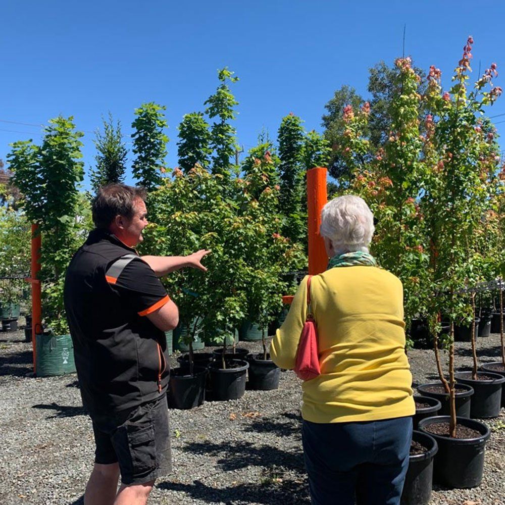 Decorative Pieces For The Garden