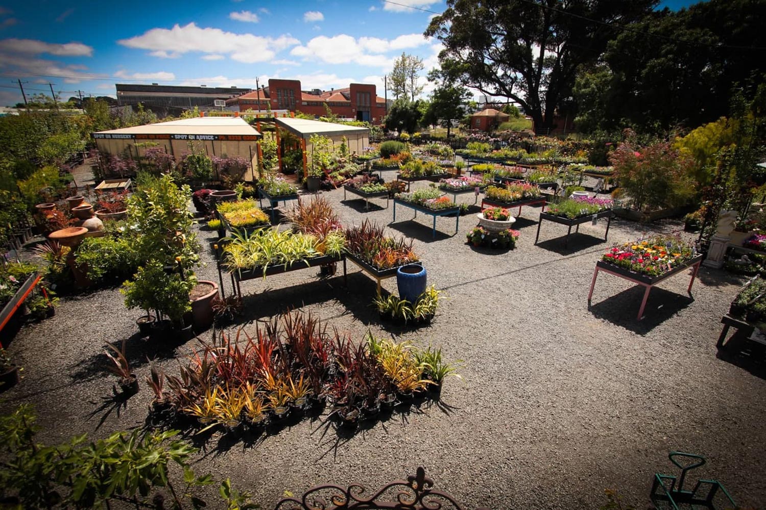Indoor-and-Outdoor-Plants