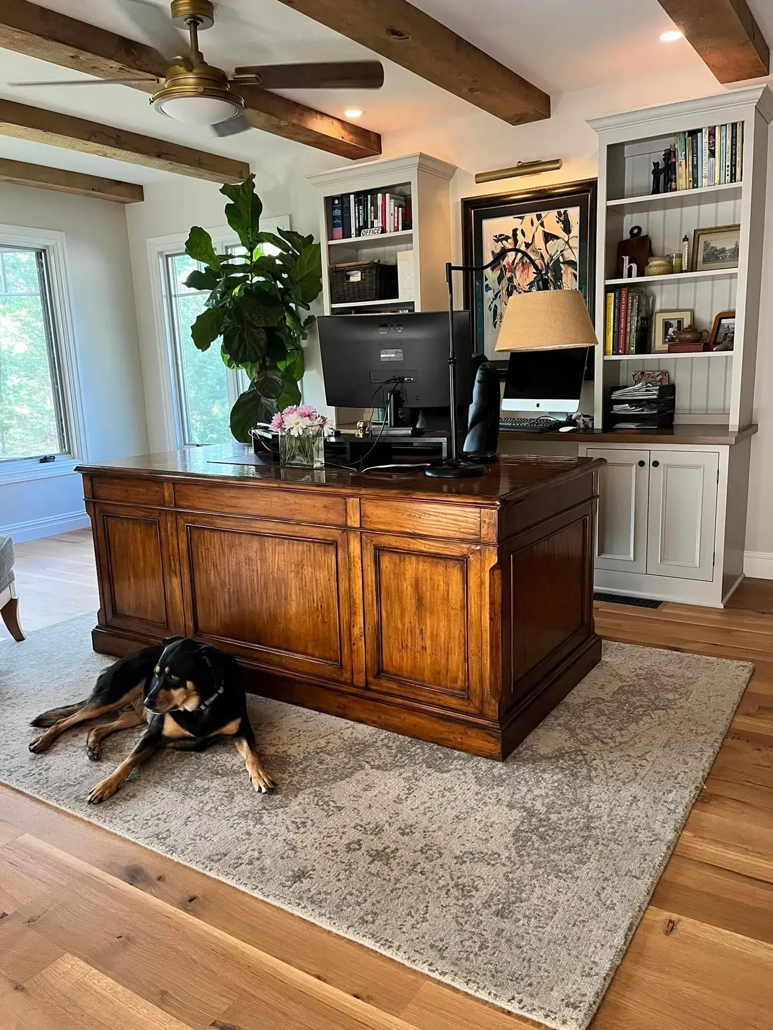 A dog is laying on the floor in front of a wooden desk in a living room.