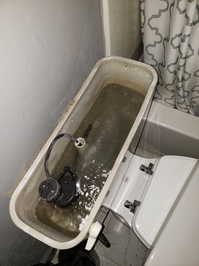 Toilet tank with dirty water, a float valve, and toilet seat.