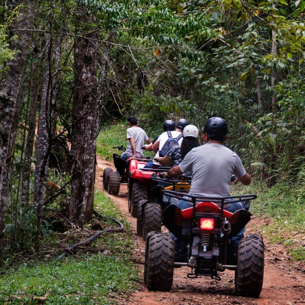 A group of people are riding atvs down a dirt path