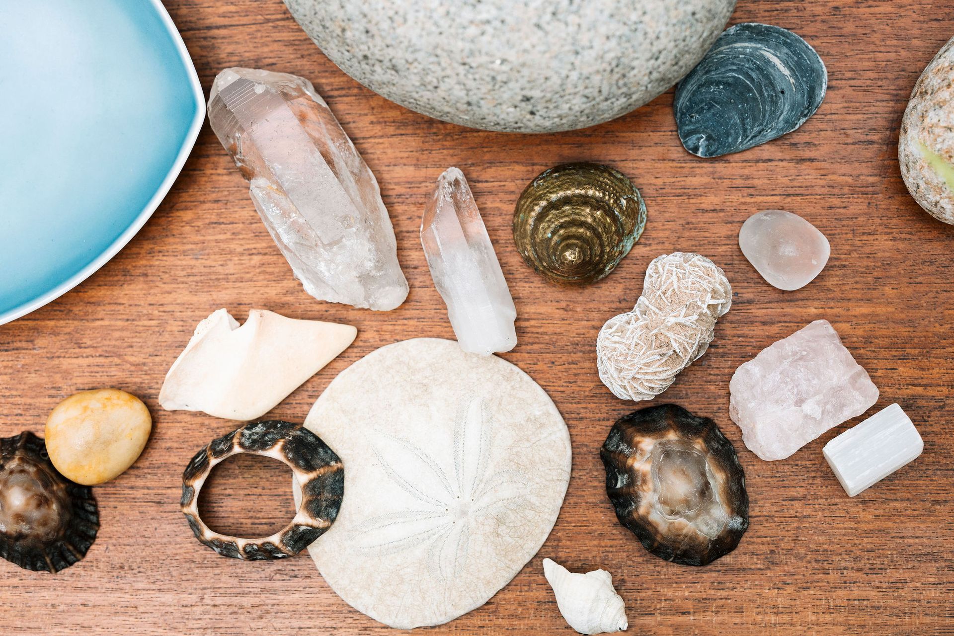 A wooden table topped with a variety of rocks and seashells