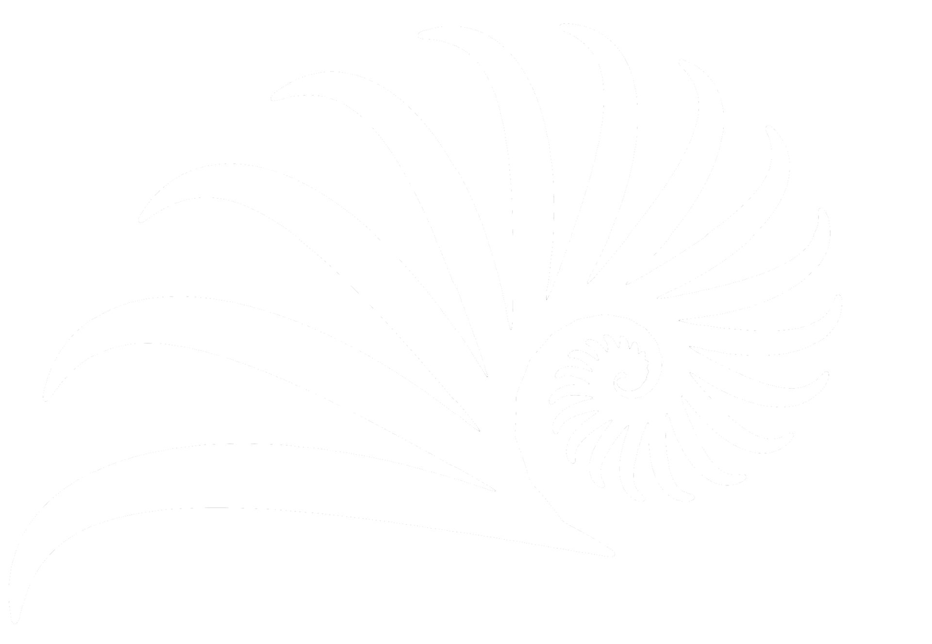 nautilus logo