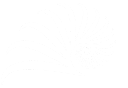 nautilus logo