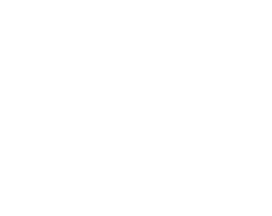 Nautlius Logo