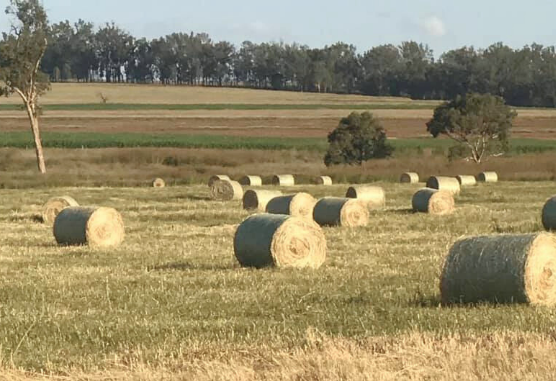 Regenerative Farming