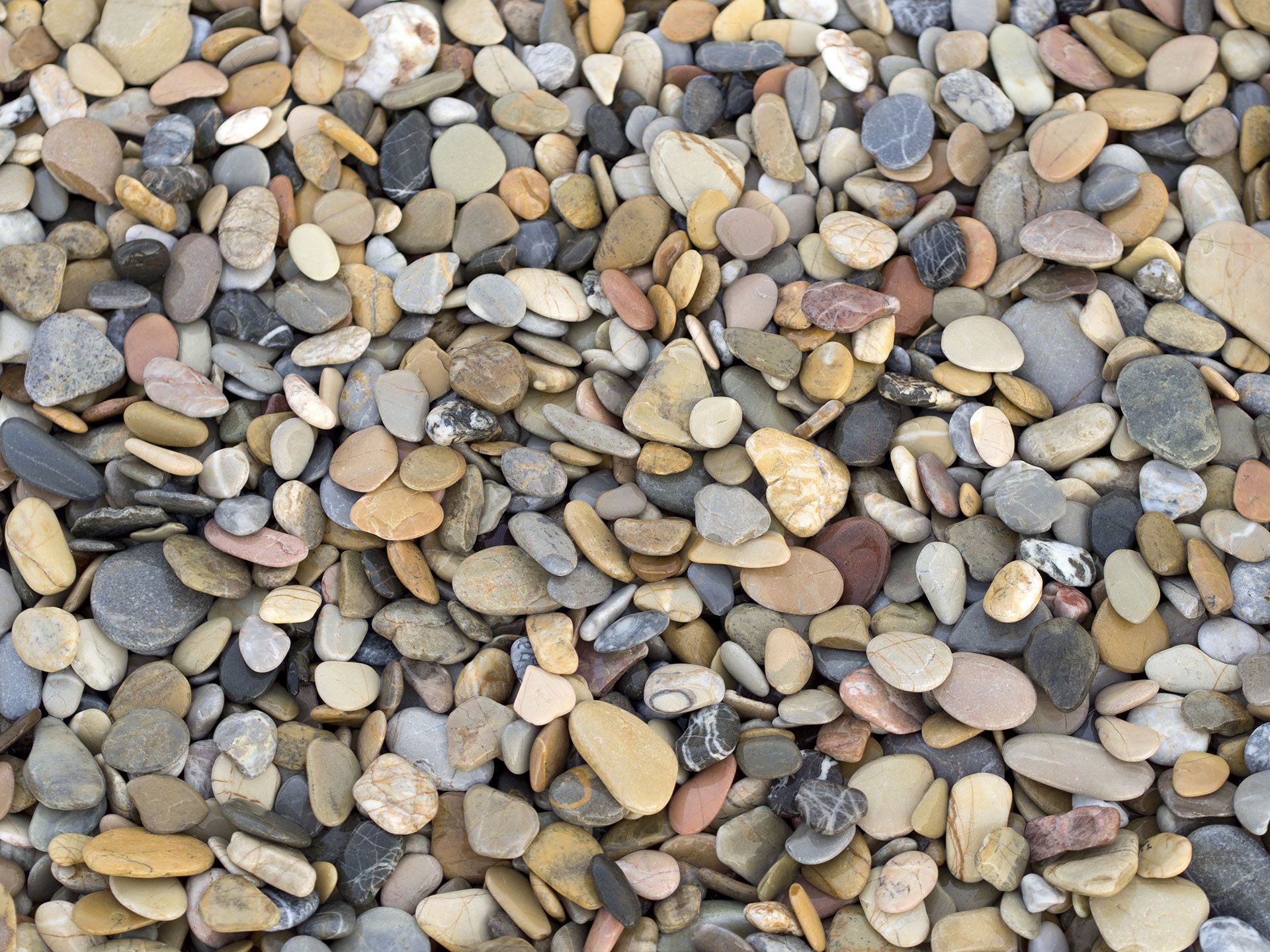 The Benefits of Using Gravel in Landscape Designs | Goldsboro, NC