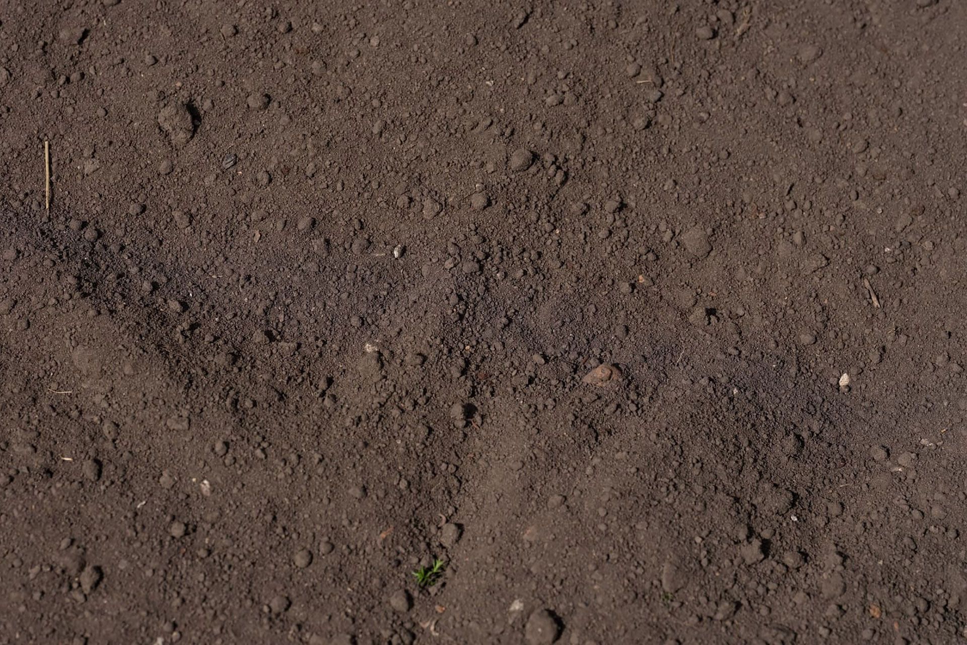 Background of dark fertile soil texture with small organic clumps