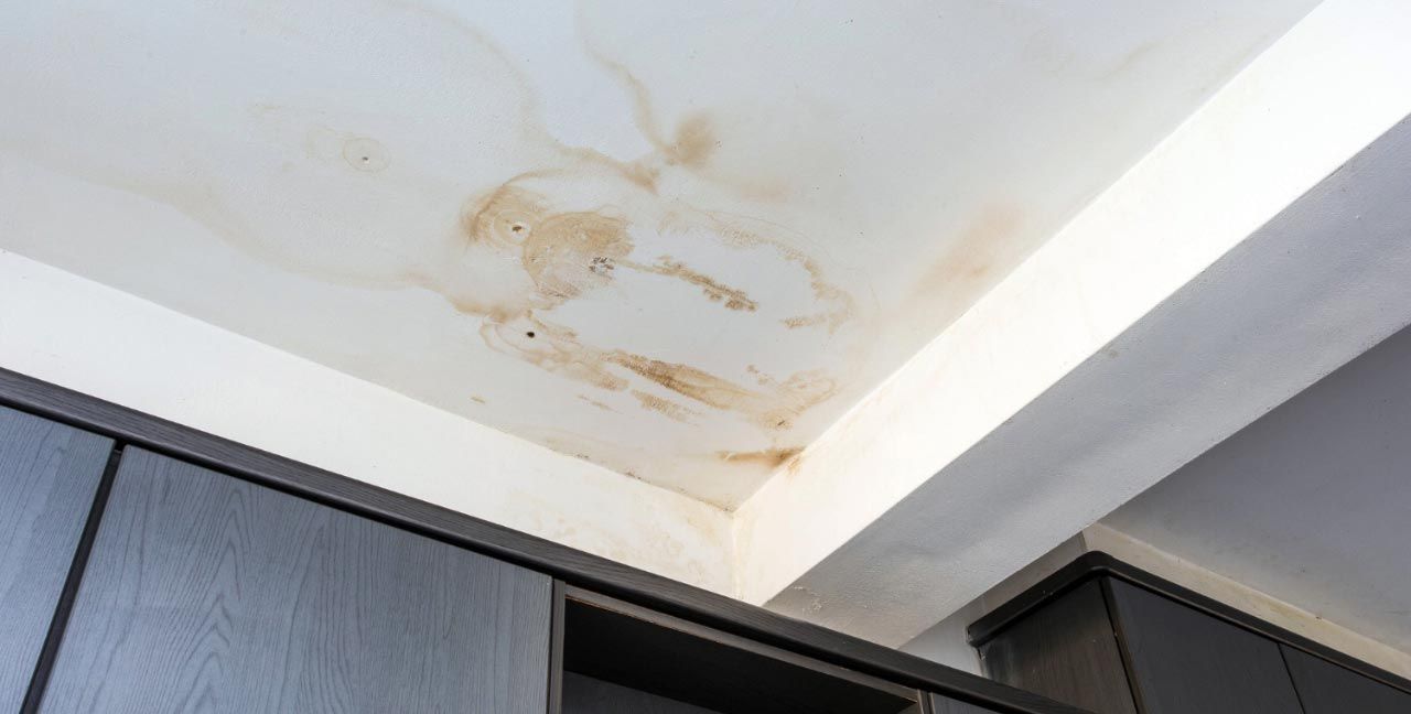 Sell A House With Black Mold In Florida