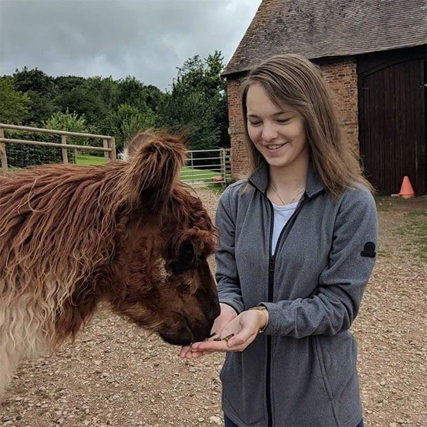 Llama experience packages