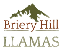 Briery Hill Llamas