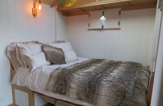 Briery Hill Llamas 3