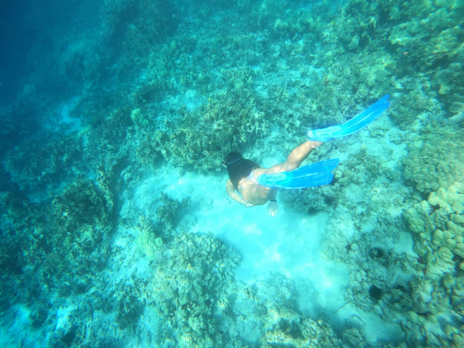 Combo Tours Big Island Snorkel KailuaKona, Big Island Hawaii