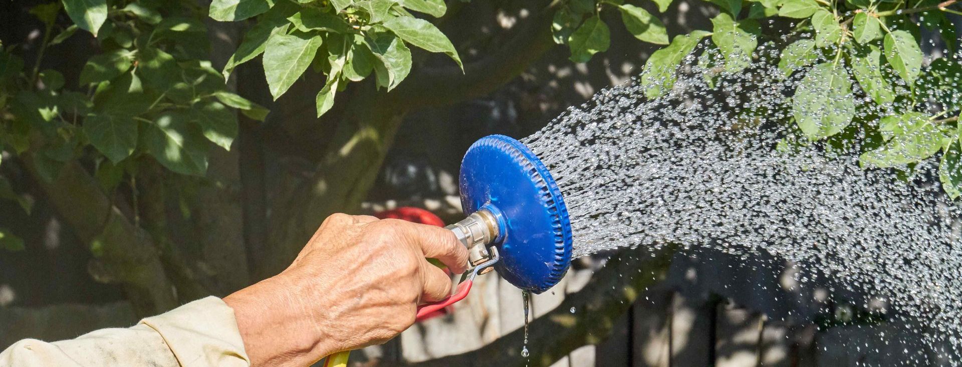 Watering Trees In Yard By Hand