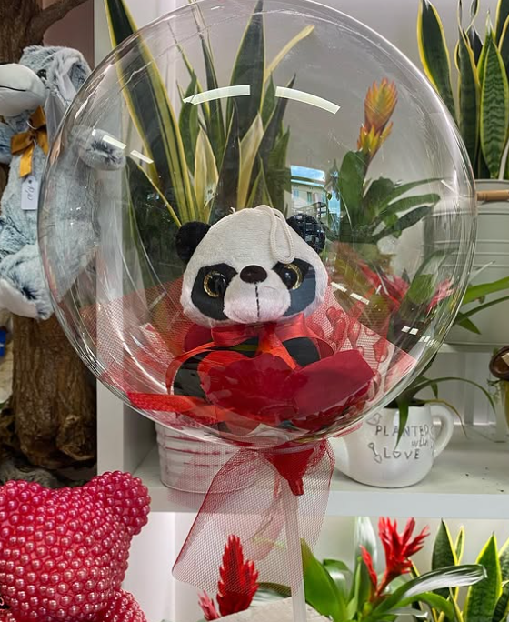 Un panda di peluche all'interno di un palloncino trasparente, circondato da tessuto rosso e legato con un nastro rosso. Sullo sfondo ci sono delle piante.