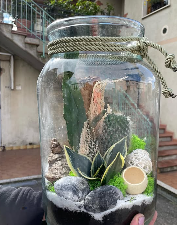 Terrario in un barattolo di vetro, riempito con cactus, pianta serpente, rocce e muschio, tenuto all'aperto.