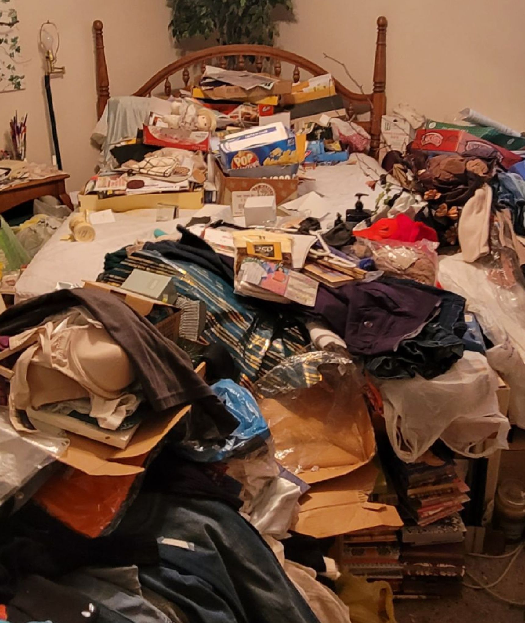 Estate, hoarder, apartment cleanouts