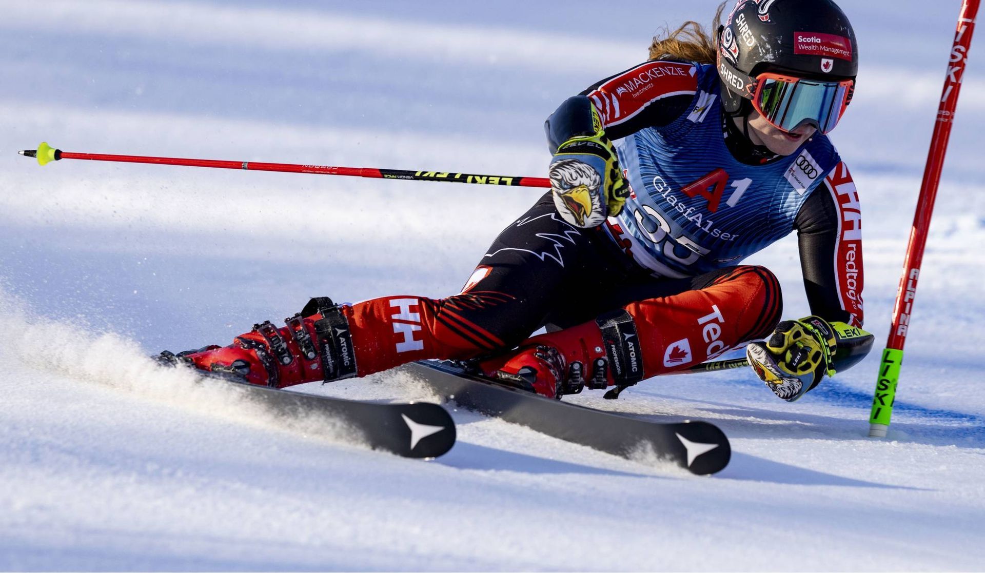 Cassidy Gray - Canadian Alpine Ski Racer Cassidy Gray - Canadian Alpine Ski Racer photo