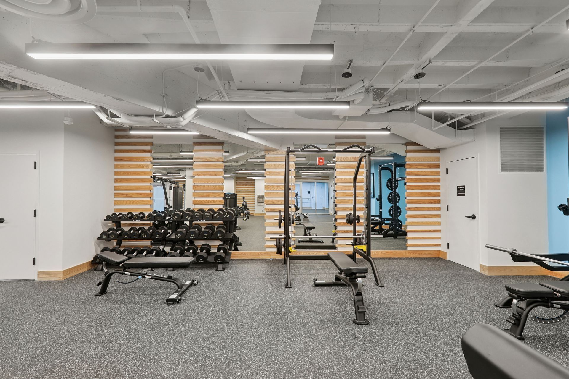 Gym interior with weights, benches, mirrors, and equipment, lit by overhead lights.