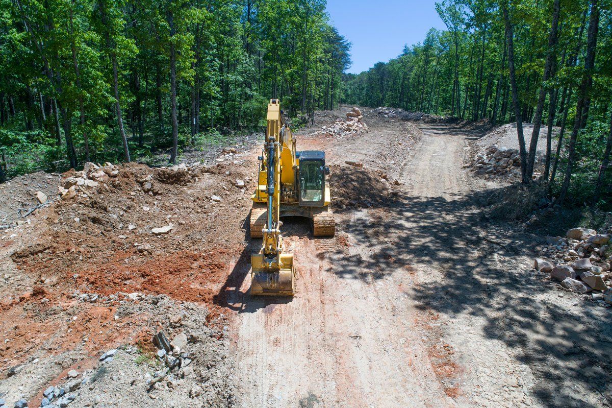 Lot Clearing — Napa, CA — Wallace Tree Service Experts
