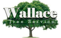 Wallace Tree Service Experts