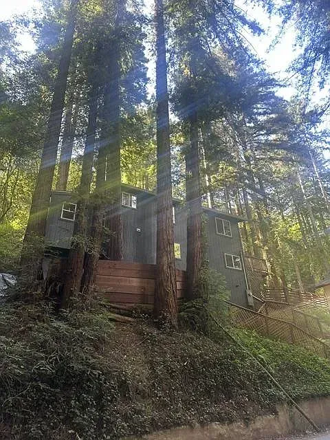 Wooded hillside path leading to a gray cabin beside a wooden fence and stairs
