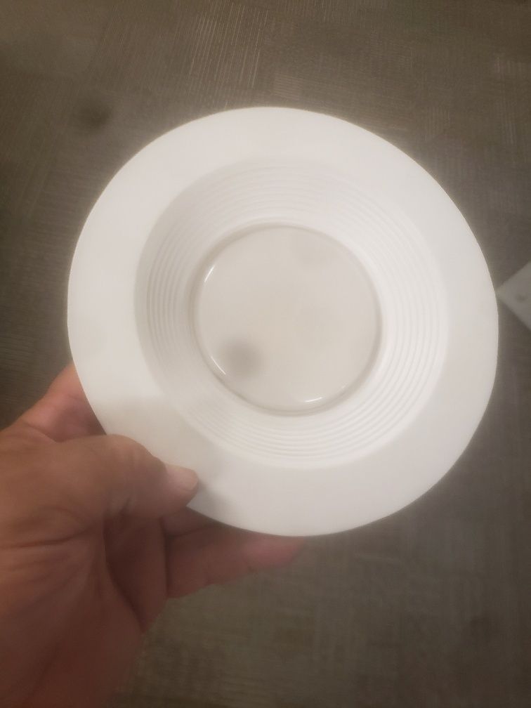 A person is holding a white plate in their hand.