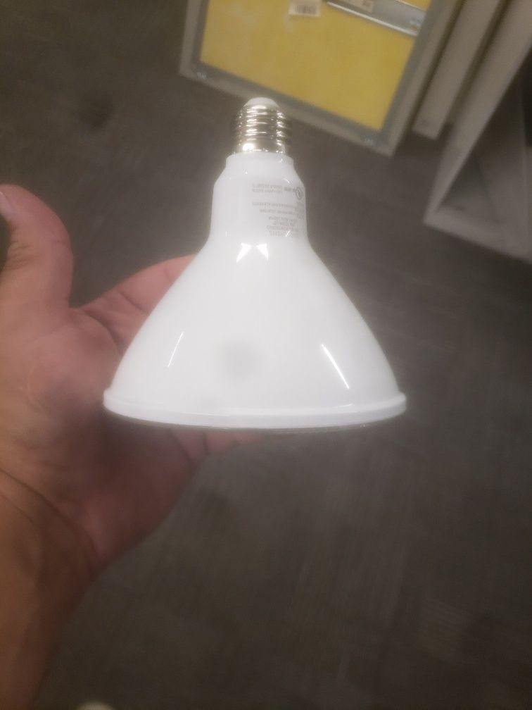 A person is holding a white light bulb in their hand.