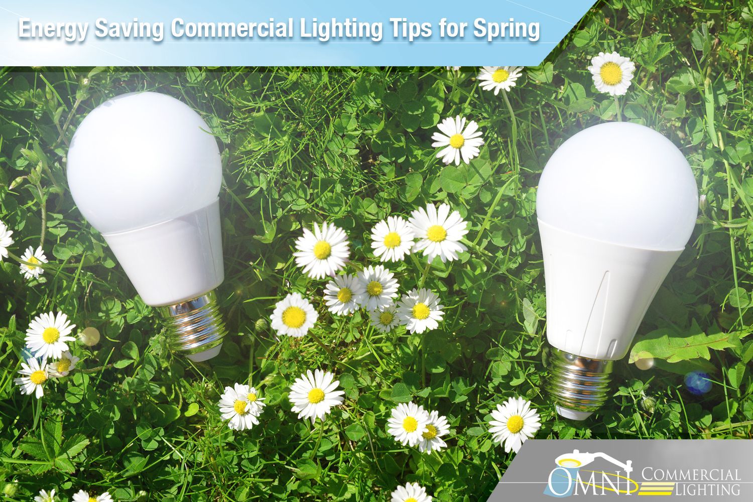Two light bulbs are sitting in a field of daisies.