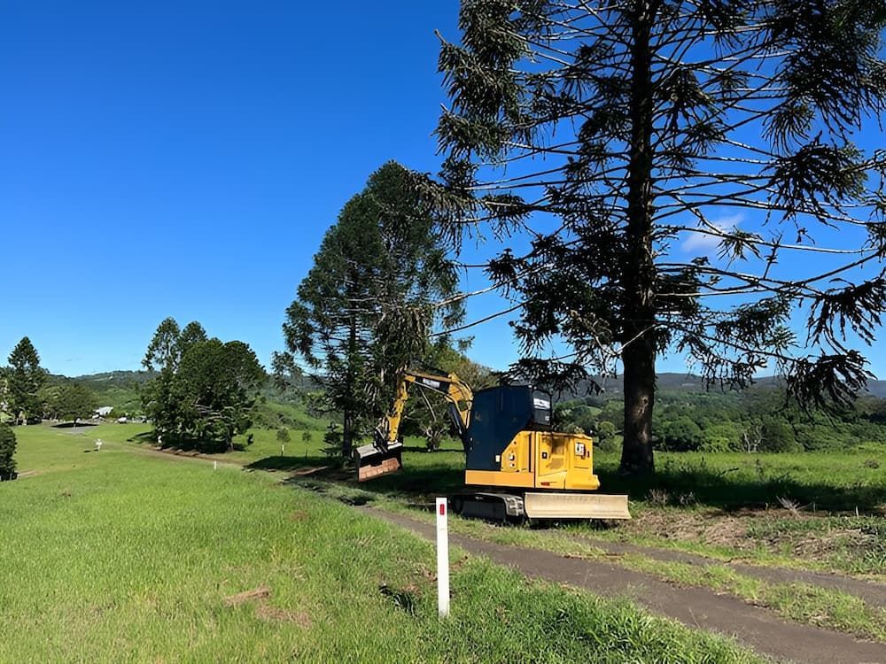 A Yellow Excavator Is Parked In A Grassy Field Next To A Tree — Wilsons Excavations & Plant Hire in Murwillumbah, NSW