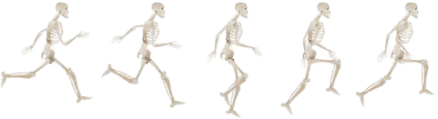 running skeleton models
