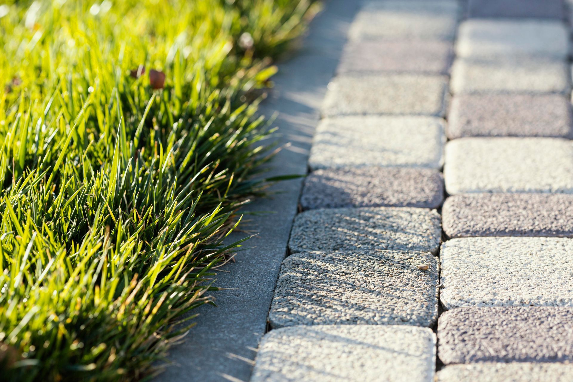 Close-up of driveway paving next to grass