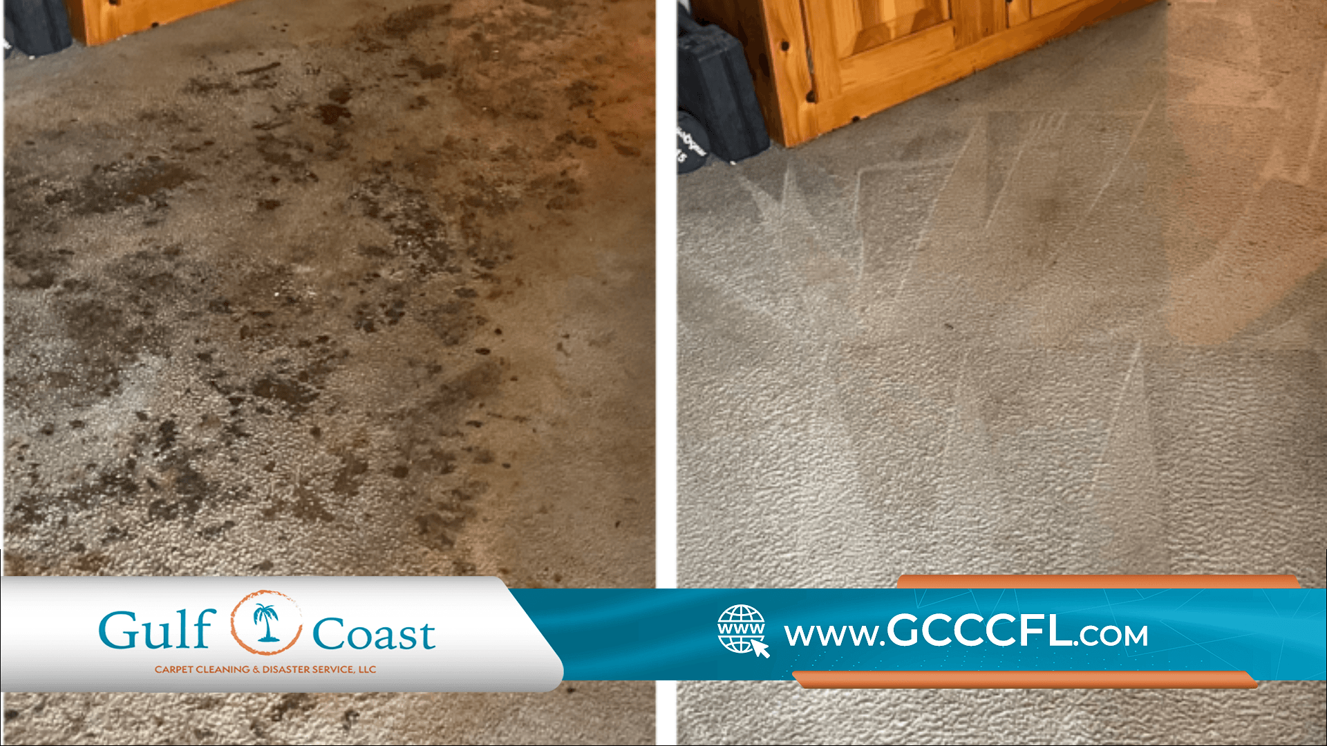 before and after of mold removal on carpet