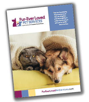 A brochure for fur ever loved pet services shows a cat and a dog