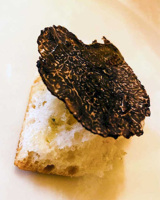 Restaurante Asador Caracoles Lerma Micologia setas hongos