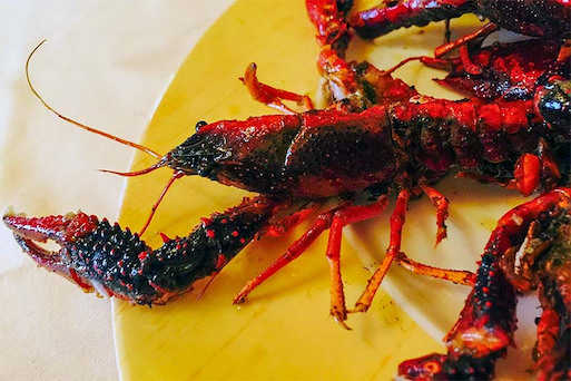 Restaurante Asador Caracoles Lerma cangrejos