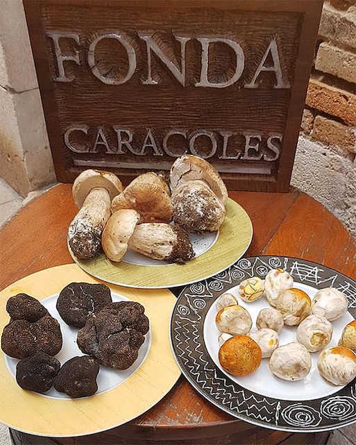 Restaurante Asador Caracoles Lerma micología setas hongos